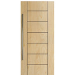 Birch Brentwood Solid Contemporary Barn Door