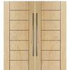 Birch Brentwood Solid Contemporary Double Barn Door