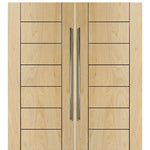 Birch Brentwood Solid Contemporary Double Barn Door