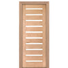 71100-80-1 | 71100 10 Lite Modern Door
