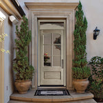 7231ST | 6 Lite 1 Panel Mahogany TDL Door with Top Rail Arch and Insulated, Beveled Glass