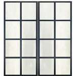 8-Lite Flush Glazed Contemporary Metal Double Barn Door