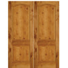 2 Panel Arch Top Knotty Alder Solid Core Double Door